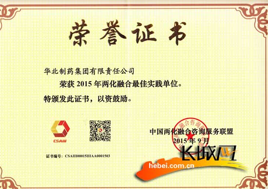 长城网：mg冰球突破集团获国家2015“两化”融合最佳实践单位