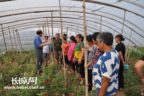 长城网：冰球突破-冰球突破豪华版_mg冰球游戏制药驻村工作组推进“一村一品”致富项目