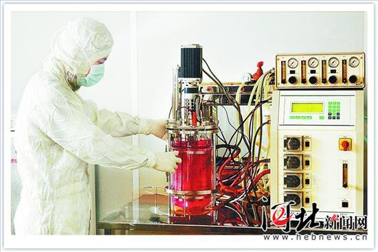 《河北日报》mg冰球突破：重组人源抗体阻击狂犬病