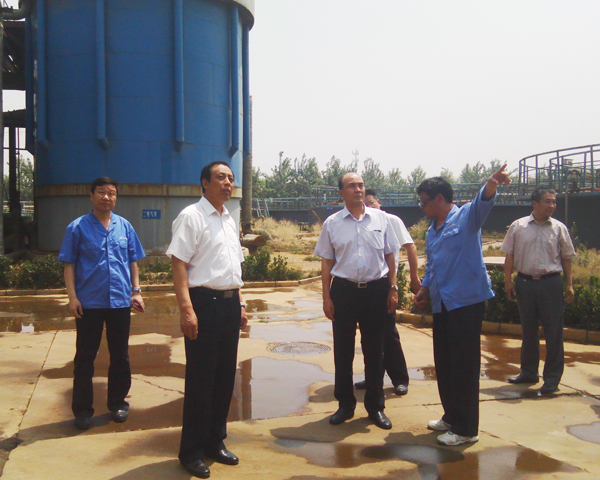 冀中能源领导来冰球突破-冰球突破豪华版_mg冰球游戏制药检查节能环保工作<br />