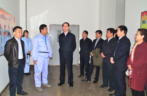 王亮市长一行到mg冰球突破调研在建项目