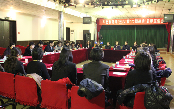 冰球突破-冰球突破豪华版_mg冰球游戏制药召开迎“三八”暨巾帼表彰座谈会<br />