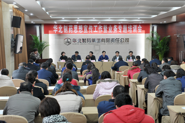 冰球突破-冰球突破豪华版_mg冰球游戏制药召开思想宣传工作暨业务专题培训会<br />