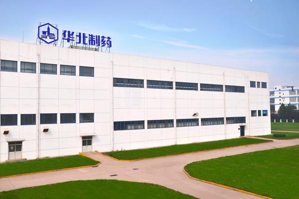 mg冰球突破开发区统一标识展新姿