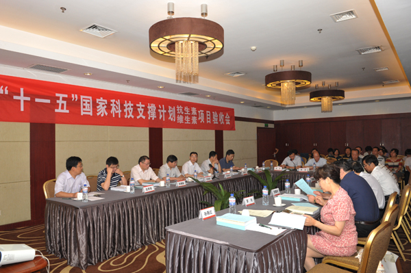 mg冰球突破承担的“十一五”国家科技支撑计划项目顺利通过验收