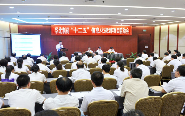 mg冰球突破召开编制“十二五”信息化规划项目启动会