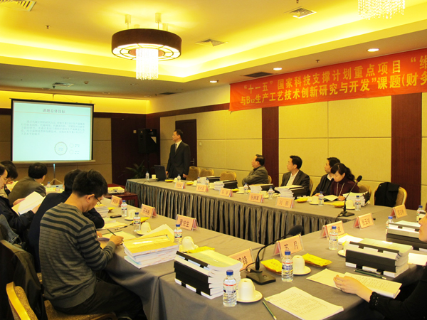 mg冰球突破三项国家“十一五”科技支撑计划课题通过验收