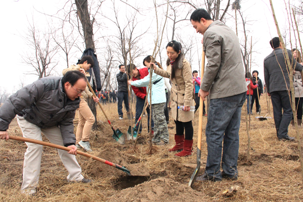 冰球突破-冰球突破豪华版_mg冰球游戏制药团委组织义务植树活动