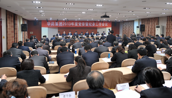 冰球突破-冰球突破豪华版_mg冰球游戏制药召开2013年度党委暨纪委工作会议  