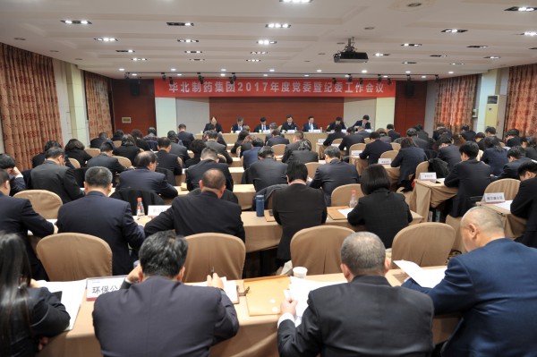 mg冰球突破集团召开2017年度党委暨纪委工作会议