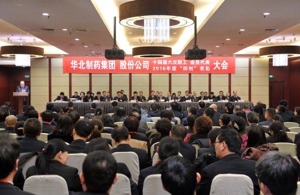 冰球突破-冰球突破豪华版_mg冰球游戏制药集团、股份公司隆重召开第十四届六次职工、会员代表大会暨2016年度“四创”表彰大会