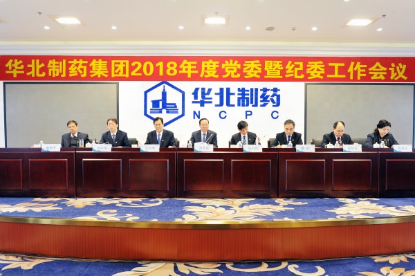 mg冰球突破集团召开2018年度党委暨纪委工作会议