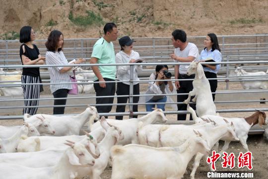 中国新闻网：贫困村探访 “组合拳”确保稳脱贫